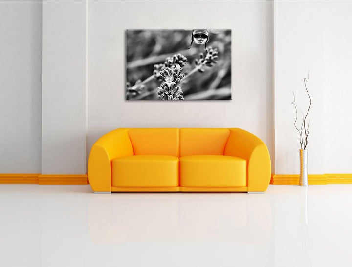 Pixxprint Monocrome, Biene auf Kriechender Günsel, Format: 100x70 auf Leinwand, 100x70