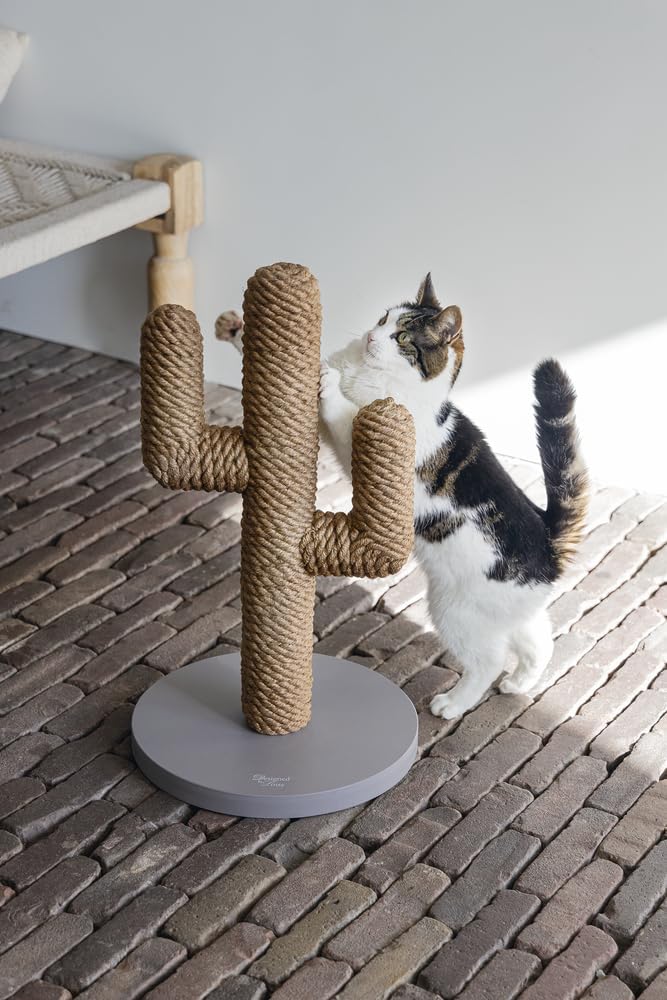 Designed by Lotte Kratzbaum Cactus L: 35 cm B: 35 cm H: 60 cm taupe