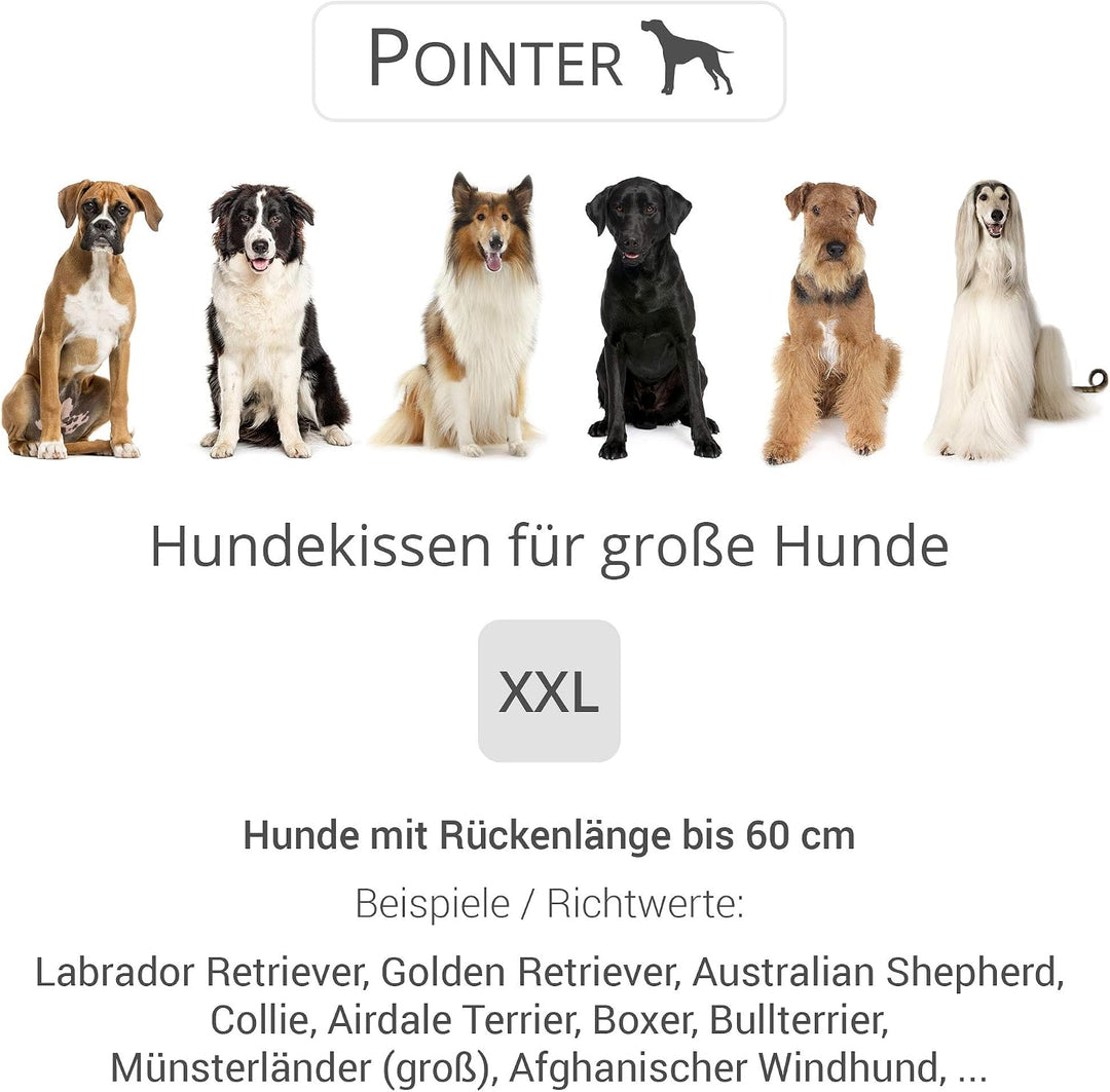 Pointer | Hundekissen Urban - orthopädisch, waschbar, robust, bequem (XXL - 80x70 cm, Hellgrau) XXL