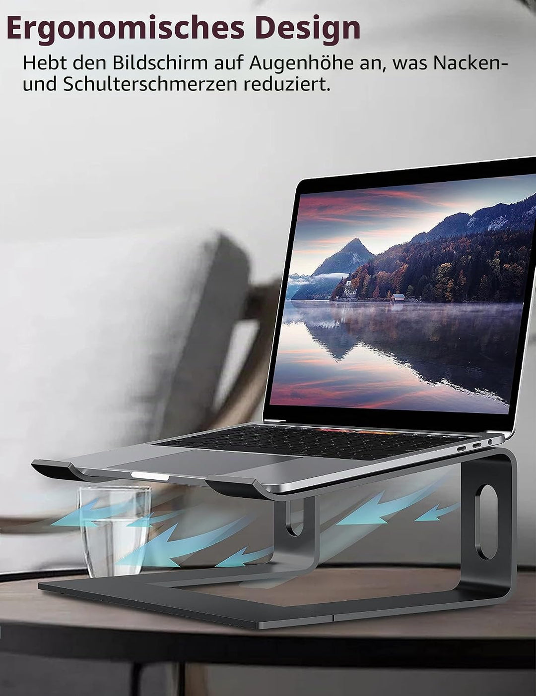 ALASHI Laptop-Ständer für Schreibtisch, Aluminium-Computer-Erhöhung, ergonomischer Notebook-Halter,