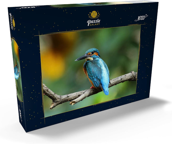 Eisvogel - Premium 1000 Teile Puzzle - MyPuzzle Sonderkollektion von Puzzle Galaxy, 1000 Teile