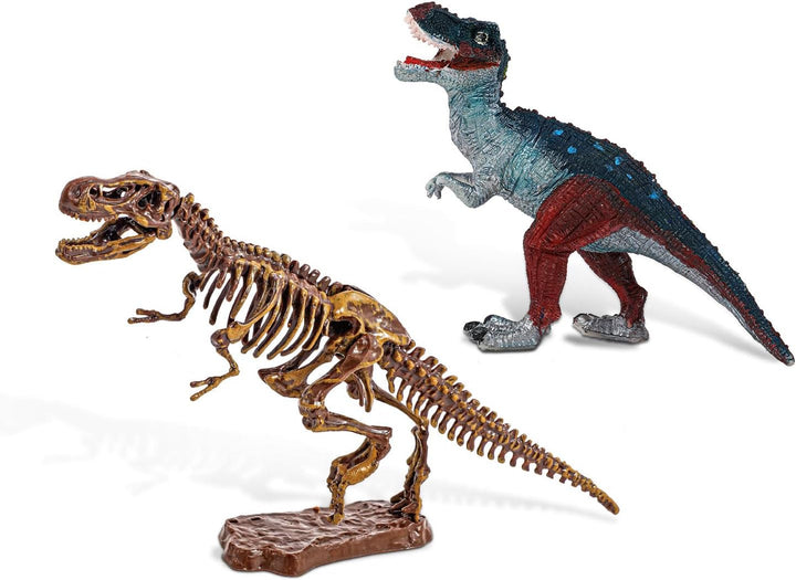EGGBOX Dinosaurier Skelett Ausgrabungsset für Kinder, 2-in-1 Dino Dig &amp; Malset, Dinosaurier Spielzeu