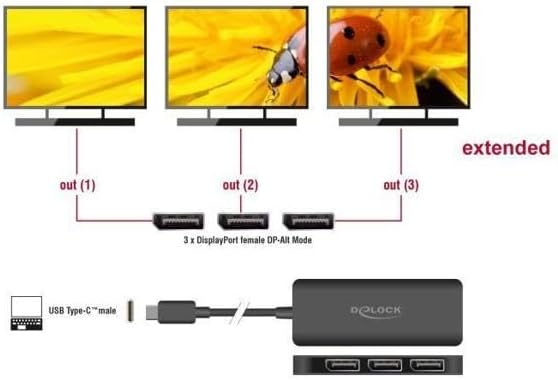 DeLOCK DisplayPort Splitter USB-C > 3x DisplayPort Splitter MST 4K 60Hz