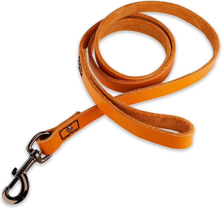 Leder Hundeleine - mit Naht - 140cm - Orange/schwarz, 140cm