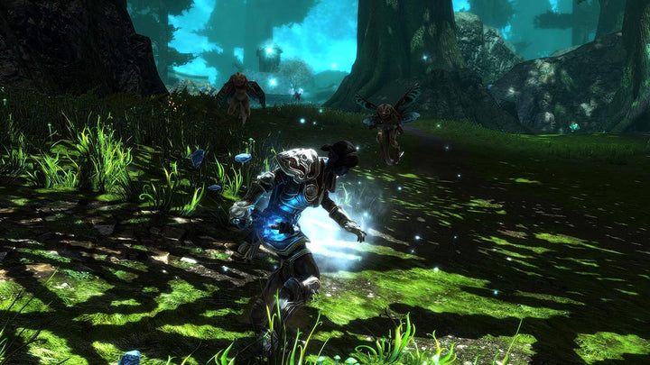 Kingdoms of Amalur Re-Reckoning - Xbox one