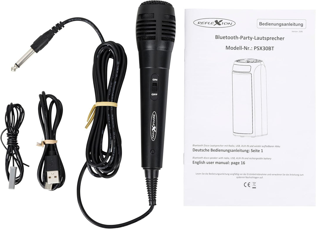 REFLEXION PSX30BT 240W Bluetooth Lautsprecher mit LED-Flammenlicht – Tragbarer TWS Speaker mit Mikro