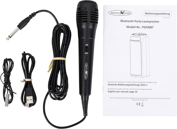 REFLEXION PSX30BT 240W Bluetooth Lautsprecher mit LED-Flammenlicht – Tragbarer TWS Speaker mit Mikro