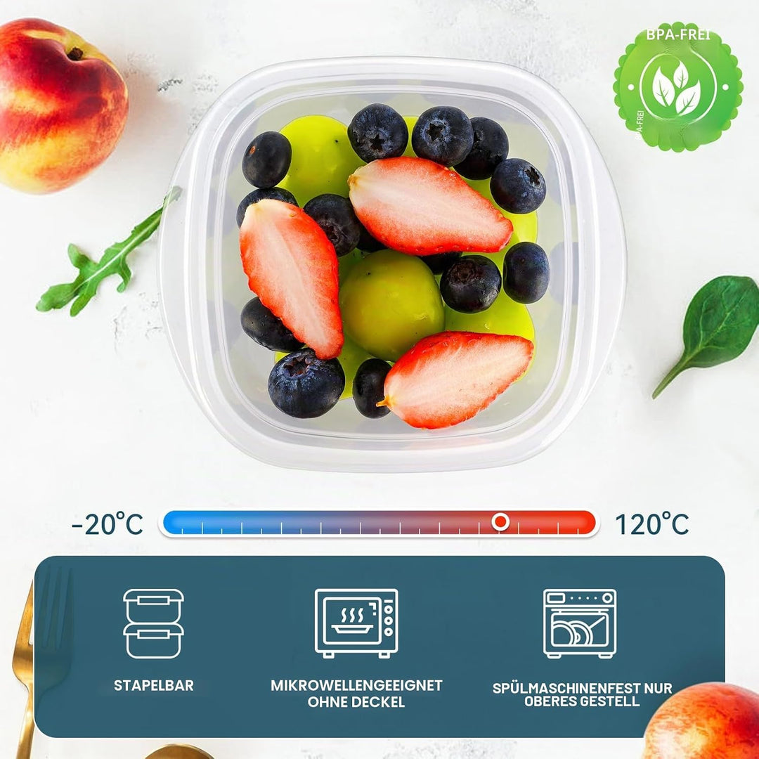 EFISH 10PCS Rechteck Kunststoff Portion Box Sets mit Deckel.Food Aufbewahrungsbox, Behälter Sets, Le