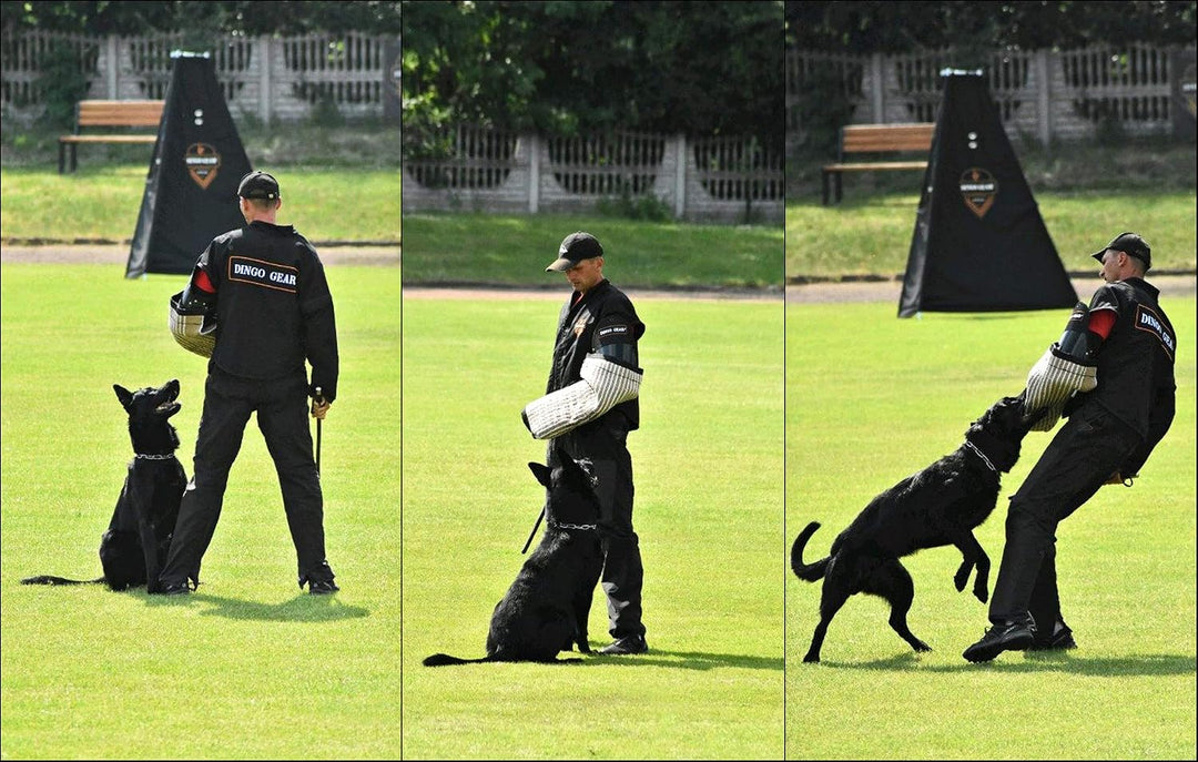 Dingo Gear Schutzarm &