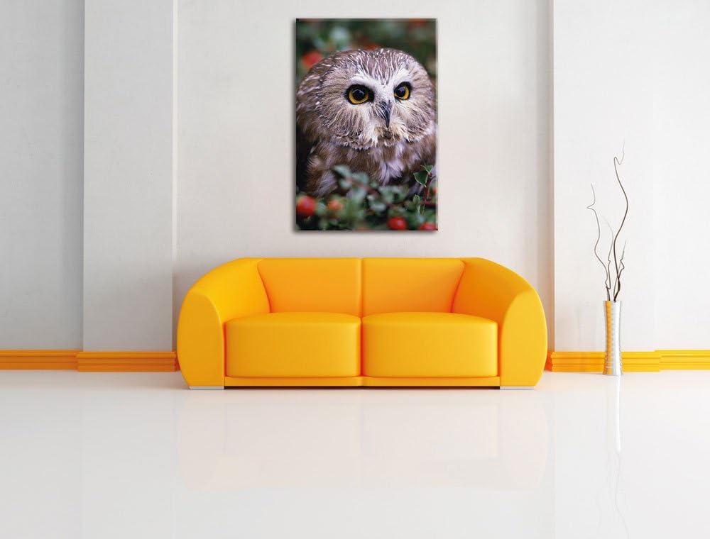 Pixxprint Eule im Vogelbeerenstrauch als Leinwandbild/Grösse: 100x70 / Wandbild/Kunstdruck/fertig be