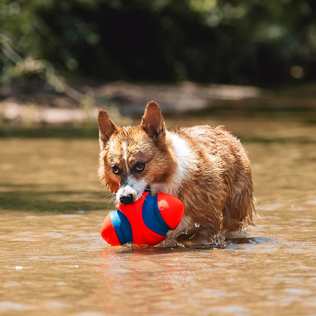 Chuckit! CH253101 Fumble Fetch Small orange / blau 13x20 cm (1er Pack), orange / blau 13x20 cm (1er