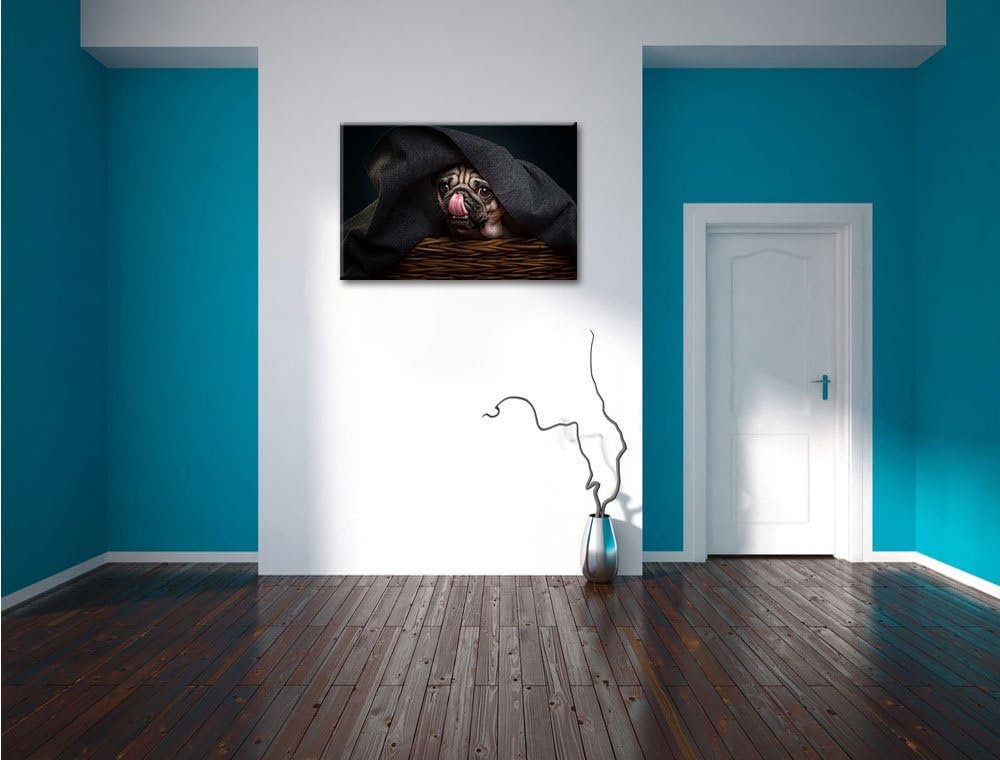 Pixxprint Süsser Mops unter der Decke, Format: 100x70 auf Leinwand, 100x70