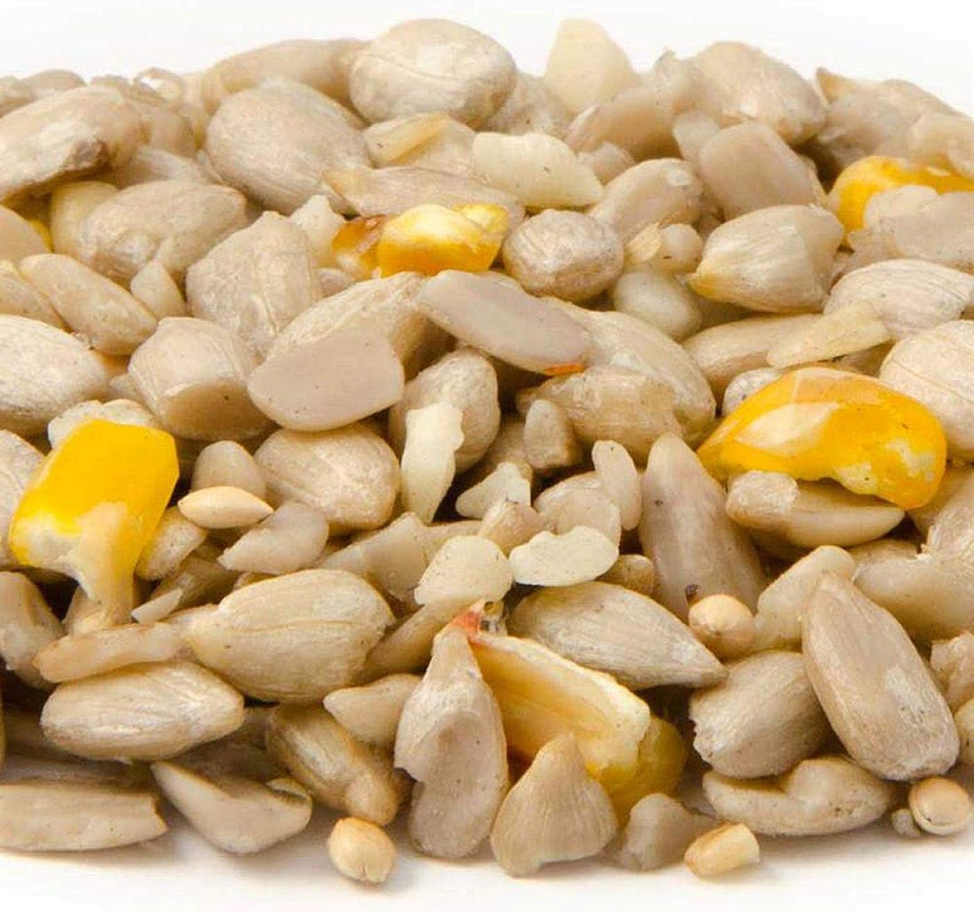 CJ Wildlife Wildvogelfutter Streufutter Hoch Energiemix - schalenfrei, Sparpack 3 x 2 kg