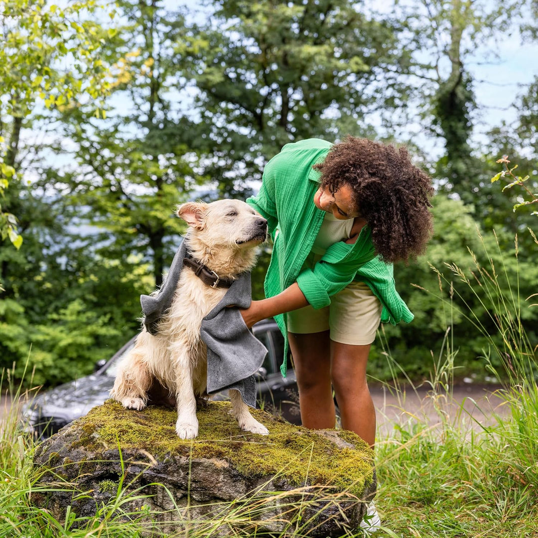 Kärcher Mobile Outdoor Cleaner OC 4 + Pet Kit, Fördermenge: 2 l/min, Gewicht: 3,1 kg, Wassertank: 8