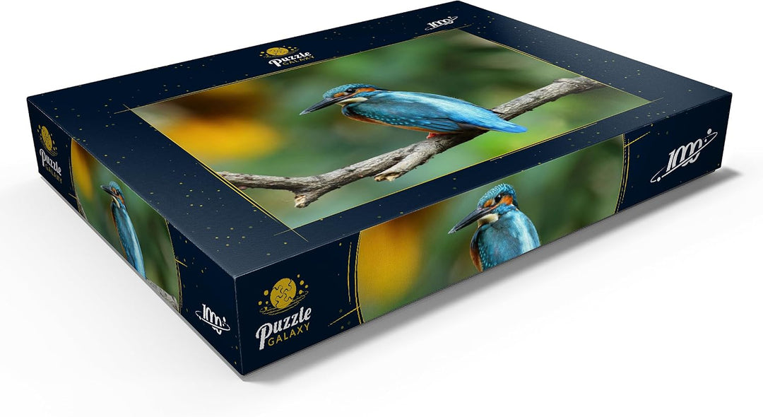 Eisvogel - Premium 1000 Teile Puzzle - MyPuzzle Sonderkollektion von Puzzle Galaxy, 1000 Teile