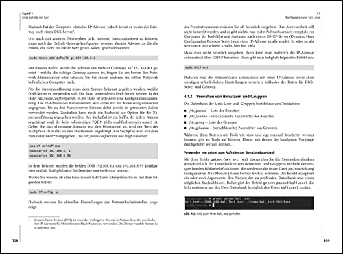 Einstieg in Kali Linux: Penetration Testing und Ethical Hacking mit Linux (mitp Professional)