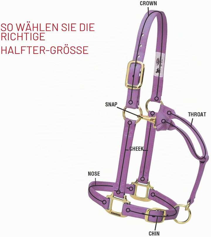 WEAVER Leather, Nicht verstellbares Halfter Jäger-Grün Average Horse, Jäger-Grün Average Horse