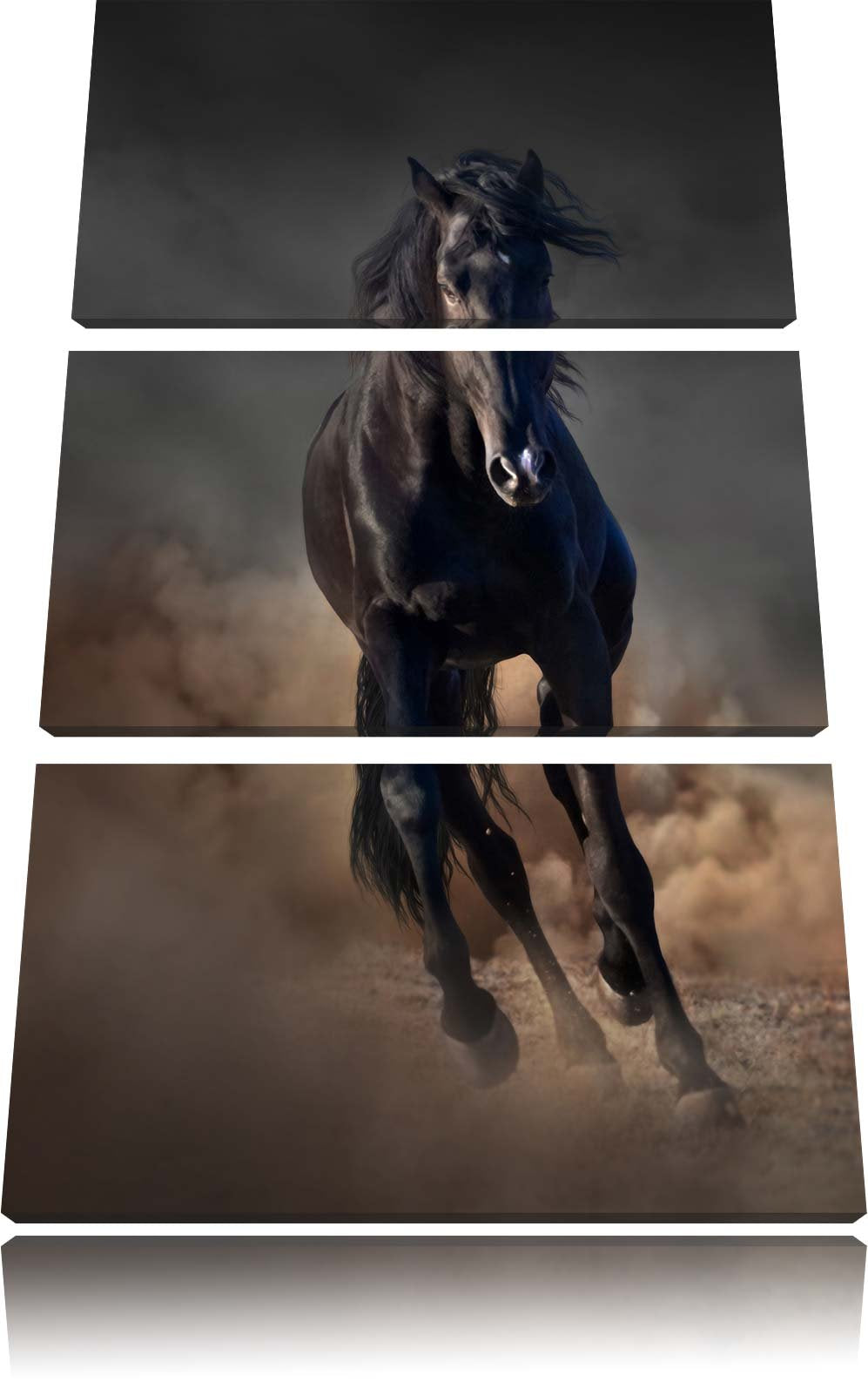 Pixxprint Elegantes schwarzes Pferd Schwarz/Weiss 3-Teiler Leinwandbild 120x80 Bild auf Leinwand