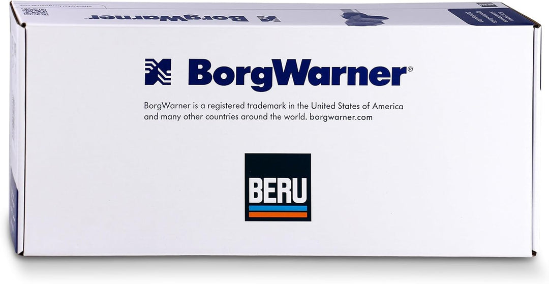 Beru AG 0040100338 Zündspule