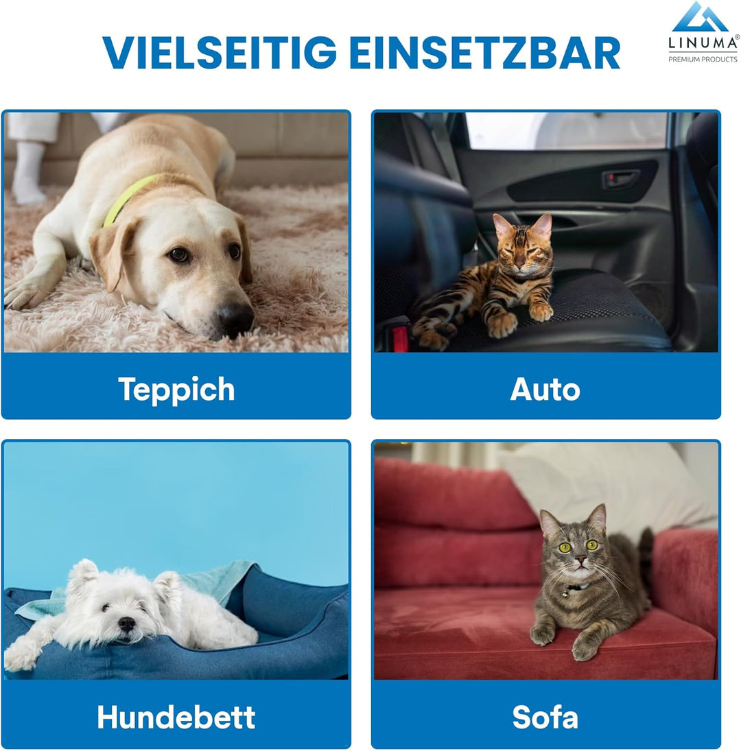 Fusselrolle PRO Tierhaare – extra Starke Aufnahme, wiederverwendbar – Hunde- &amp; Katzenhaare – Sofa, B