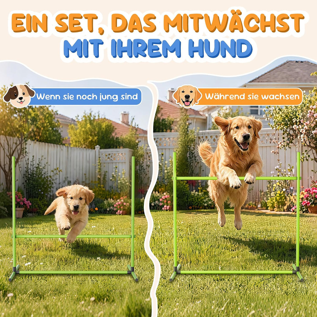 ACXIN Agility Set Hürdenset Hundetraining Zubehör mit 4 Stück Hürden, Slalom Stangen Agility-Ausrüst