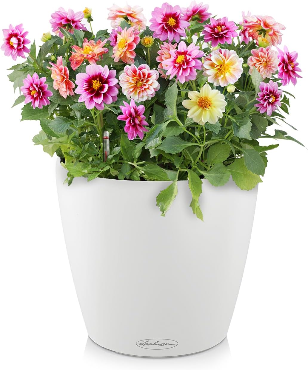 LECHUZA CLASSICO Color 35 weiss 13210 36x36x32.5 cm Weiss, 36x36x32.5 cm Weiss