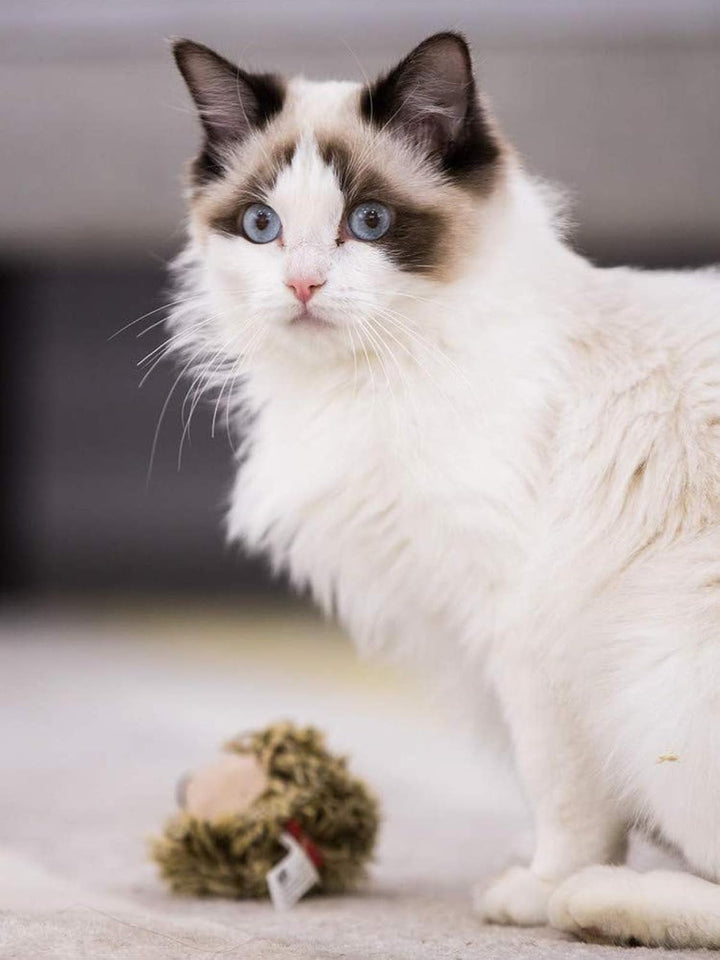 Vealind GiGwi Melody Chaser, interaktives Spielzeug für Katzen und Hunde (Igel)