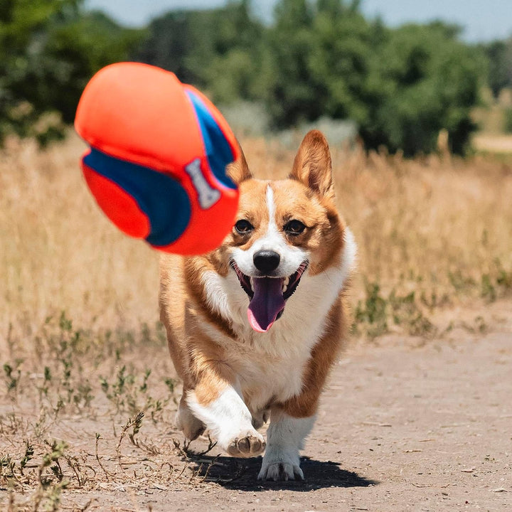 Chuckit! CH253101 Fumble Fetch Small orange / blau 13x20 cm (1er Pack), orange / blau 13x20 cm (1er