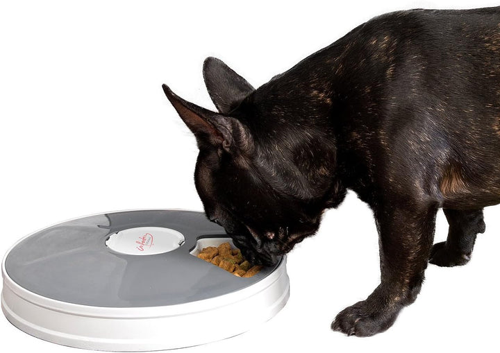 infactory Katzenfutterautomat: Zeitgesteuerter 6-Fach-Katzen- &amp; Hunde-Futterspender, LCD-Display (Fu