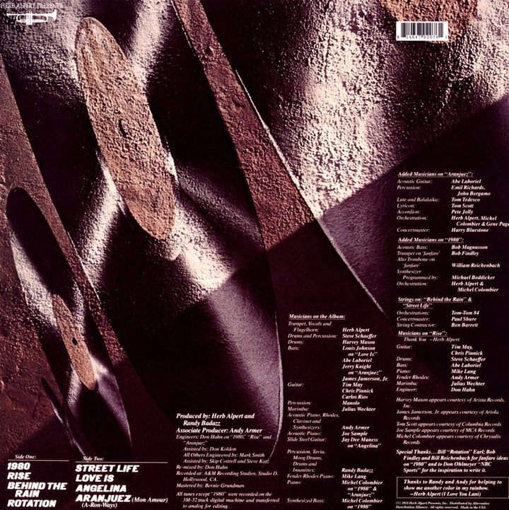 Rise, Vinyl