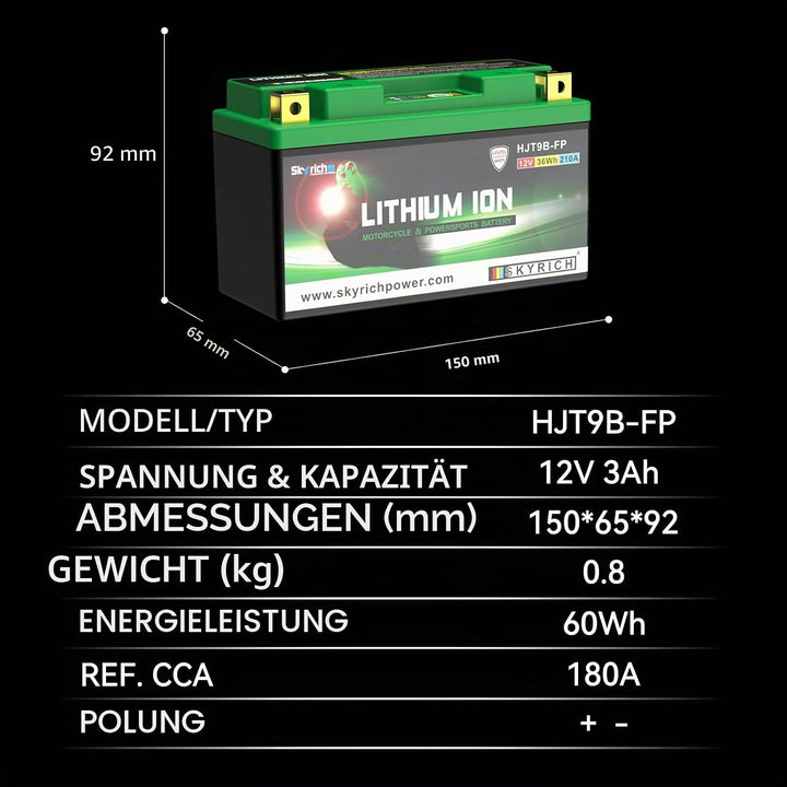 Skyrich HJT9B-FP Starterbatterie
