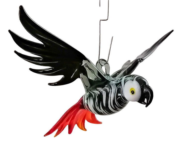 Hängevogel, Graupapagei, Glas