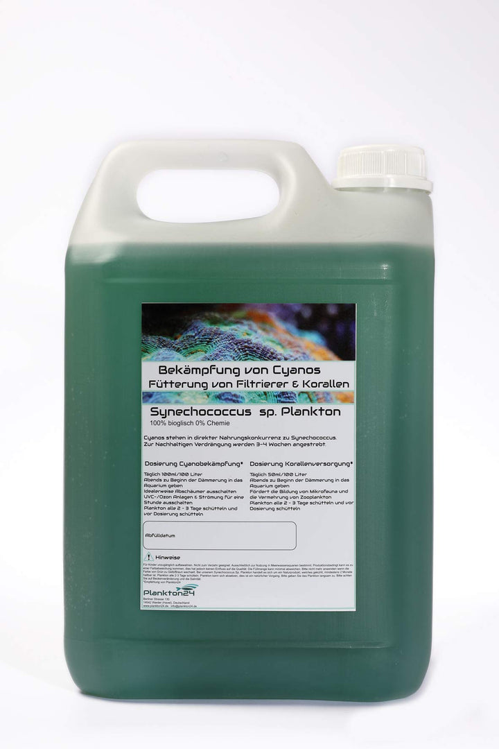 Plankton Synechococcus sp. (5 Liter) Cyano Stopp Fütterung von Korallen und Filtrier …