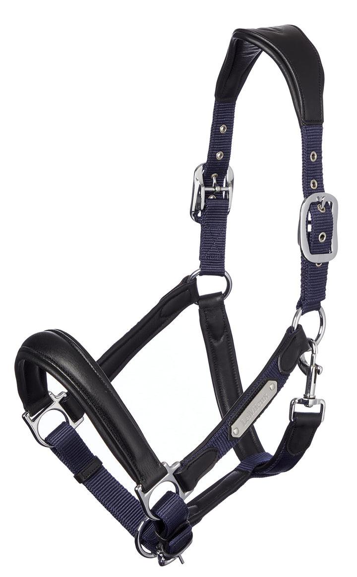 LeMieux Capella Headcollar Halfter, navy
