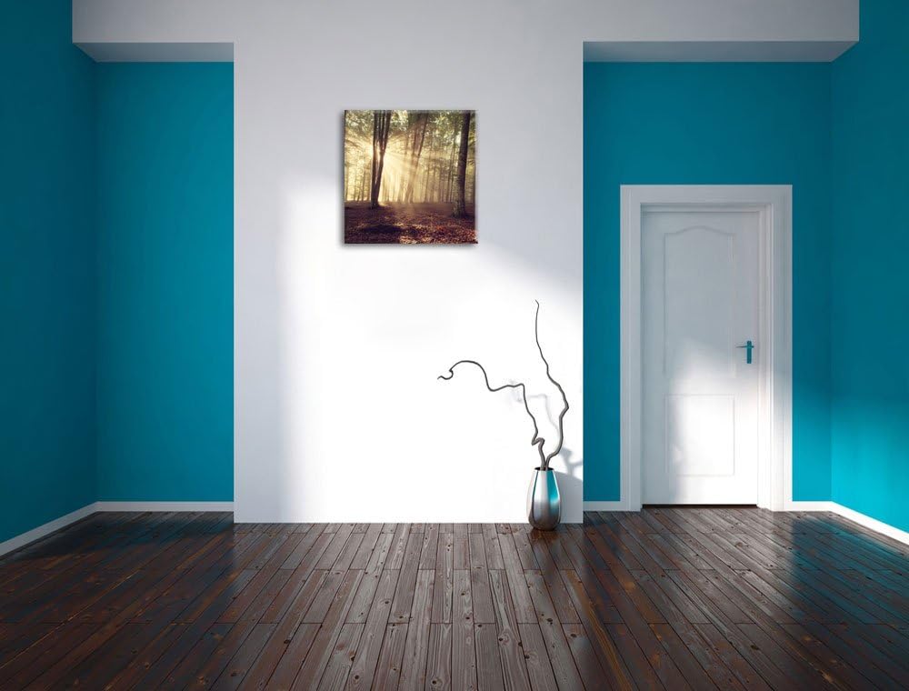 Pixxprint Waldlichtung im Sonnenschein, Format: 70x70 auf Leinwand, 70x70