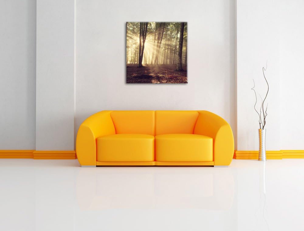 Pixxprint Waldlichtung im Sonnenschein, Format: 70x70 auf Leinwand, 70x70