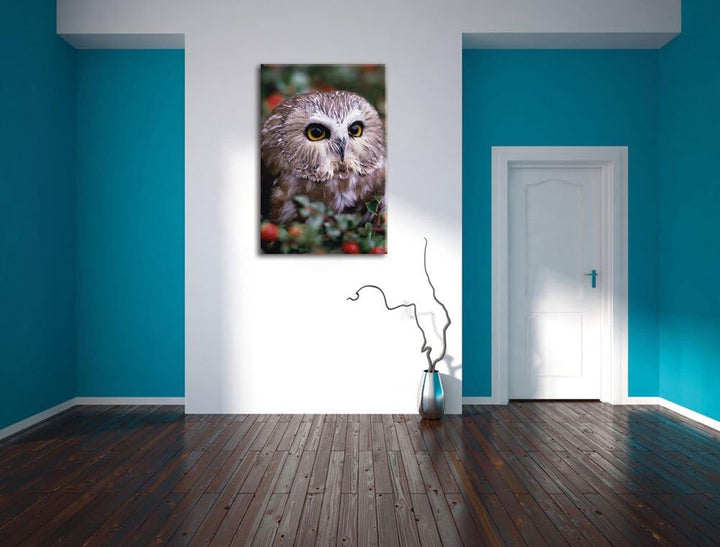 Pixxprint Eule im Vogelbeerenstrauch als Leinwandbild/Grösse: 100x70 / Wandbild/Kunstdruck/fertig be