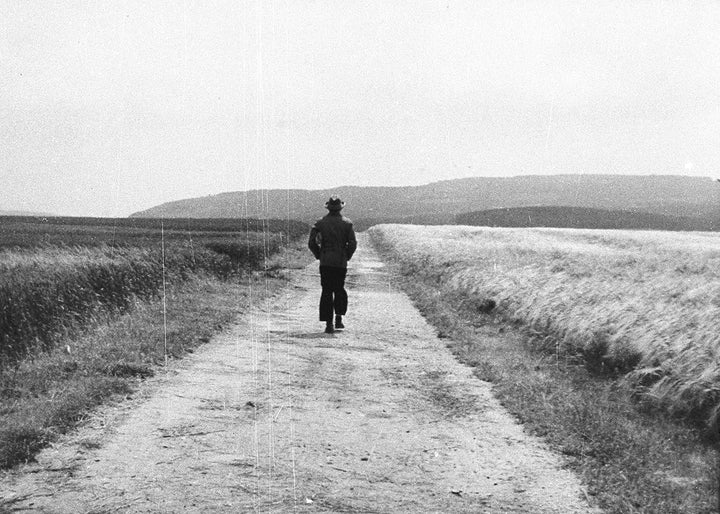 Edgar Reitz - Heimat - Gesamtedition [20 DVDs], DVD