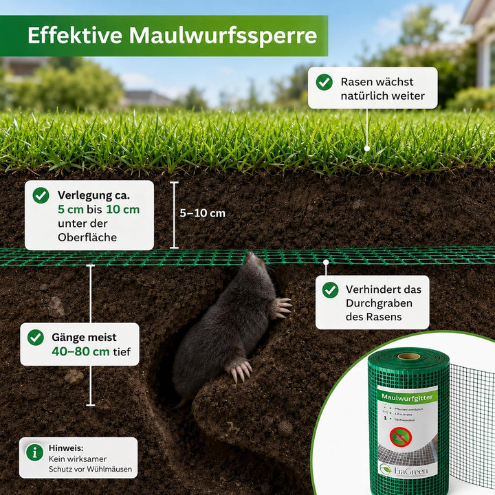 EraGreen® Maulwurfgitter 100 m x 1,2 m Breite Inklusive 100 Erdanker GRATIS - Maulwurfschutz für Rol