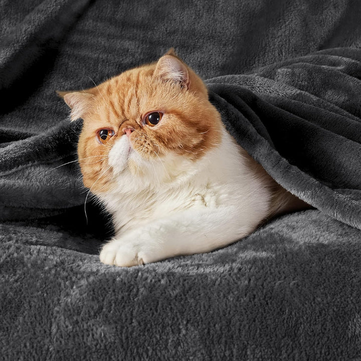 BEDSURE Flauschig Decke Fleecedecke - Wohndecke Warm Winter Weich, Sofadecke Kleine, Couch Blanket,