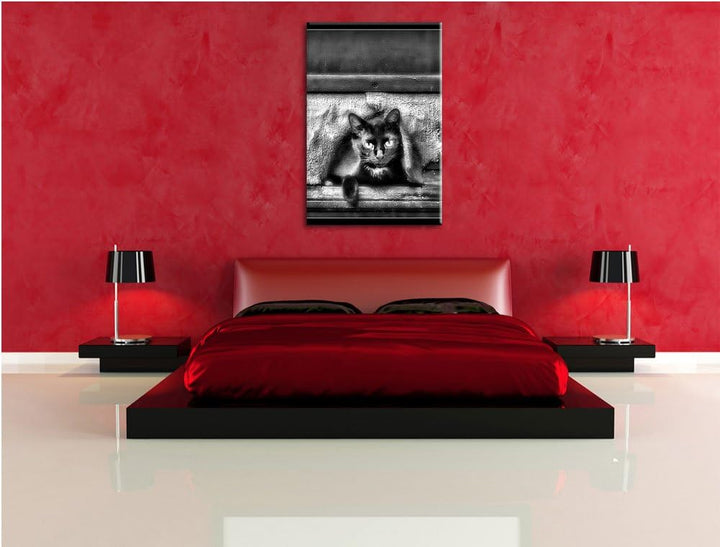 Pixxprint Monocrome, Katze schaut durch Hundeklappe, Format: 100x70 auf Leinwand, 100x70
