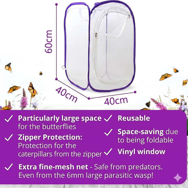 Schmetterlingszucht-Set für Kinder | Ca. 14 Raupen + grossem Habitat (40x40x60 cm) | GRATIS E-Book +