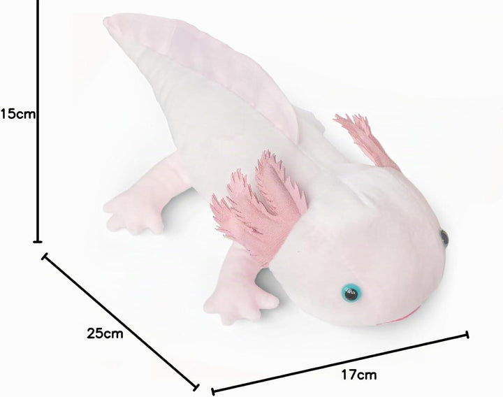 Axolotl