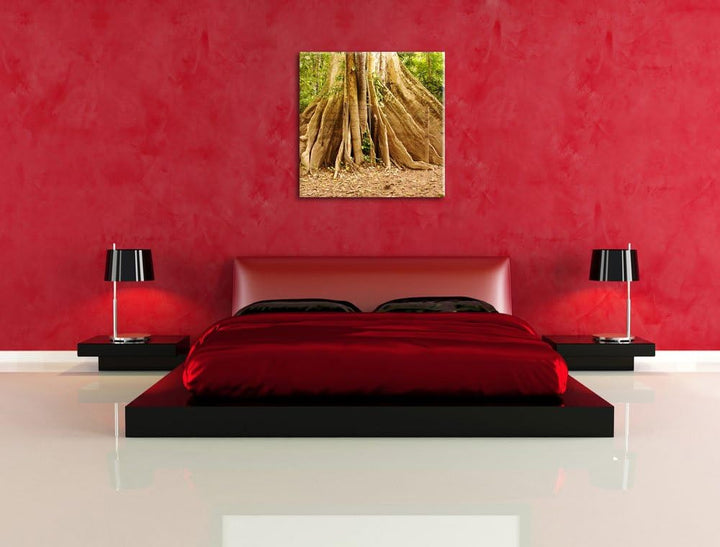 Mächtiger Urwald Baum, Format: 70x70 auf Leinwand, XXL riesige Bilder fertig gerahmt mit Keilrahmen,