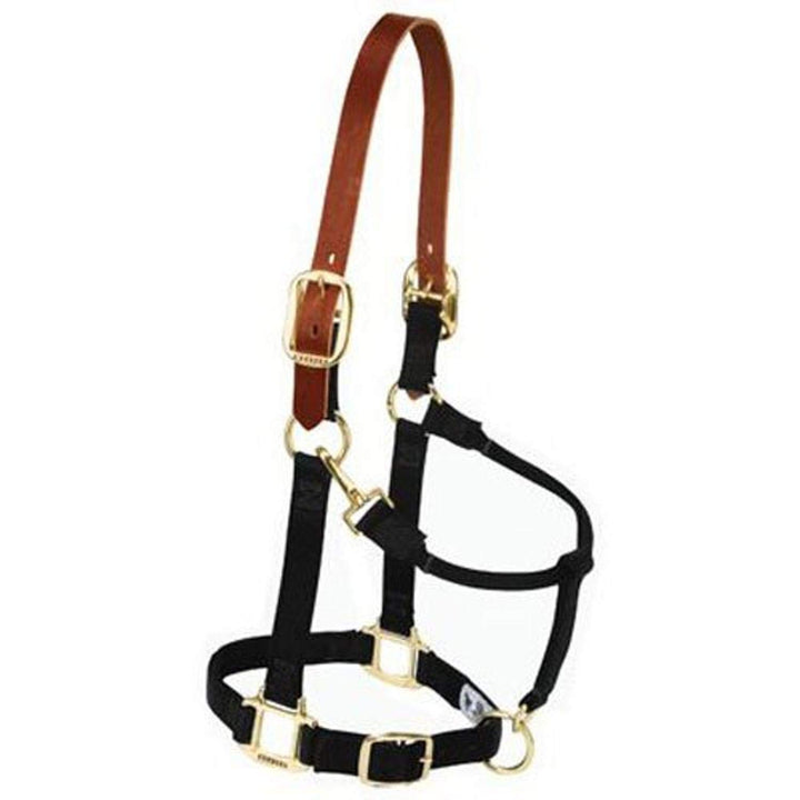 Weaver Leather Original verstellbares Nylonhalfter für Pferde Small Horse Schwarz, Small Horse Schwa