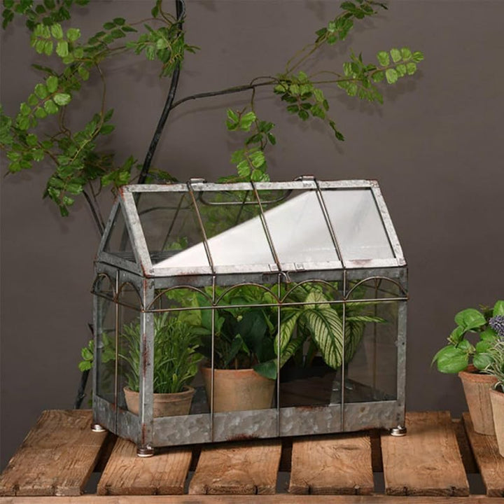 Esschert Design USA ZB22 Gewächshaus/Terrarium im Vintage-Look, silberfarben