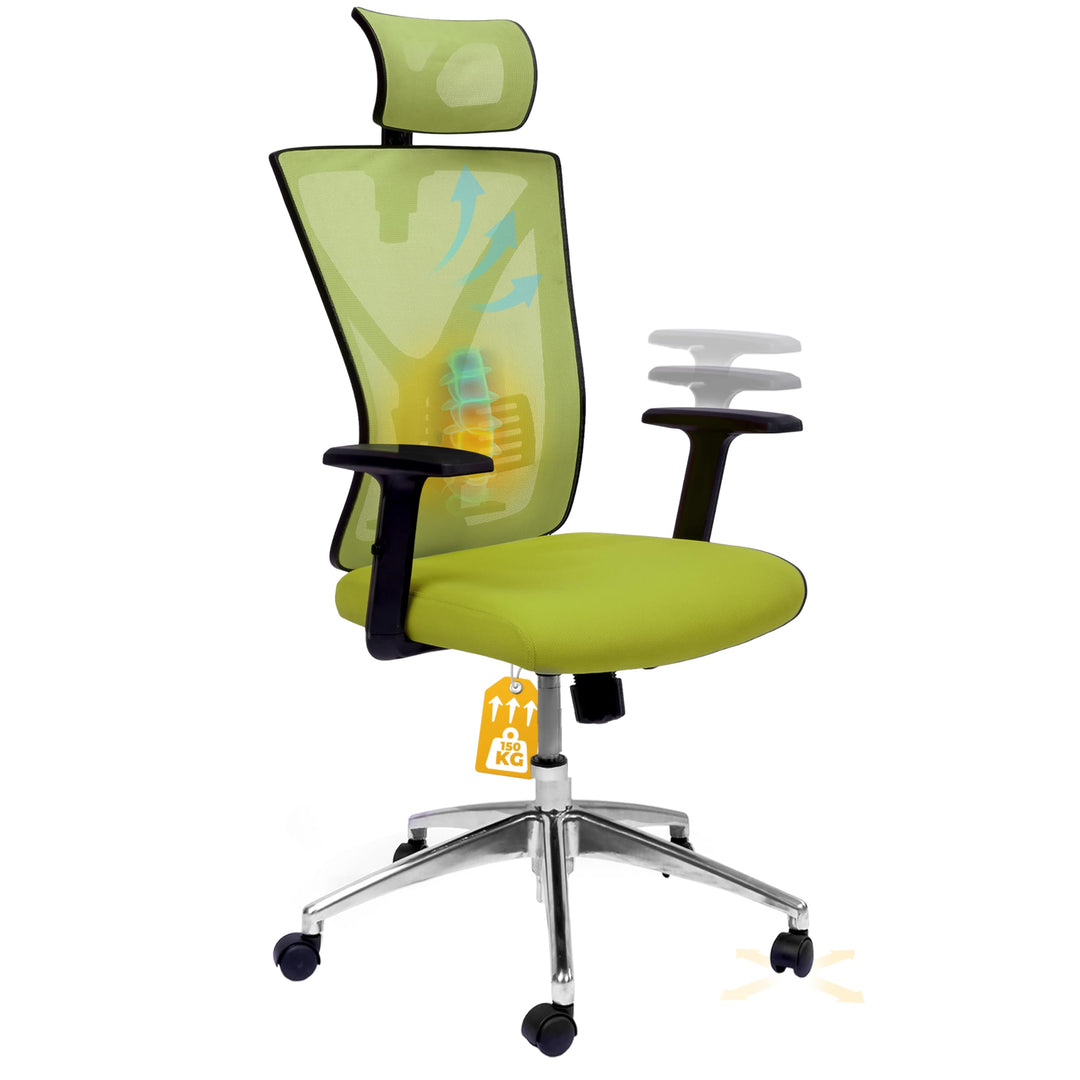 Bürostuhl Zeus (Grün) – Bürostuhl ergonomisch und komfortabel inkl. Verstellbarer Lordosenstütze &amp; k