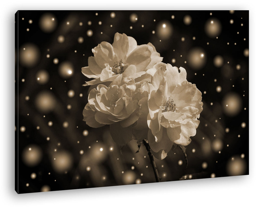 deyoli verschneite rosa Blumen Format: 80x60 Effekt: Sepia als Leinwand, Motiv fertig gerahmt auf Ec