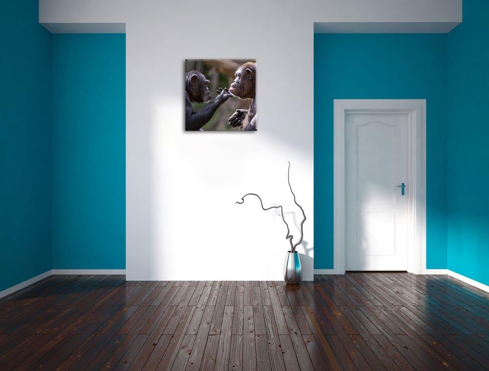 Schimpansen Freundschaft, Format: 70x70 auf Leinwand, XXL riesige Bilder fertig gerahmt mit Keilrahm